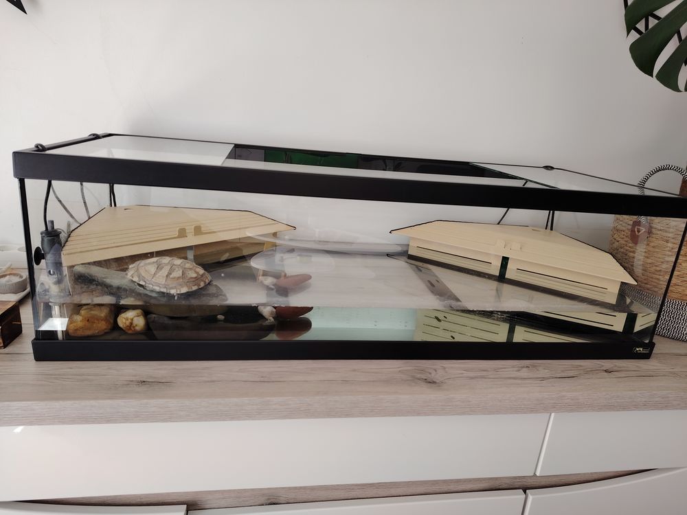   Donne Tortue paelomedusa + terrarium et mat�riel 