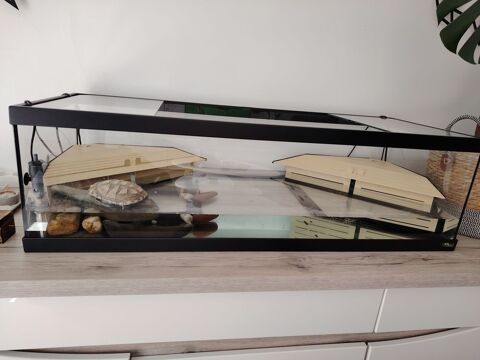 Donne Tortue paelomedusa + terrarium et matériel 100 10430 Rosires-prs-troyes