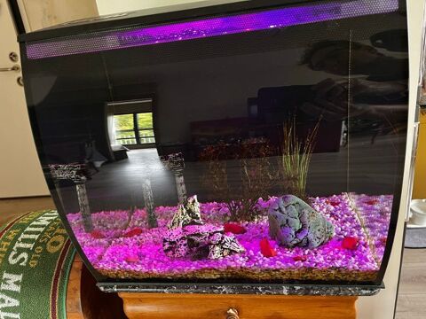 Aquarium 57L  FLUVAL 50 Athis-Mons (91)