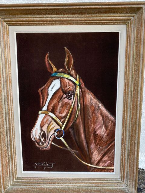 Peinture tête de cheval sur toile en velours 34 Morsang-sur-Orge (91)