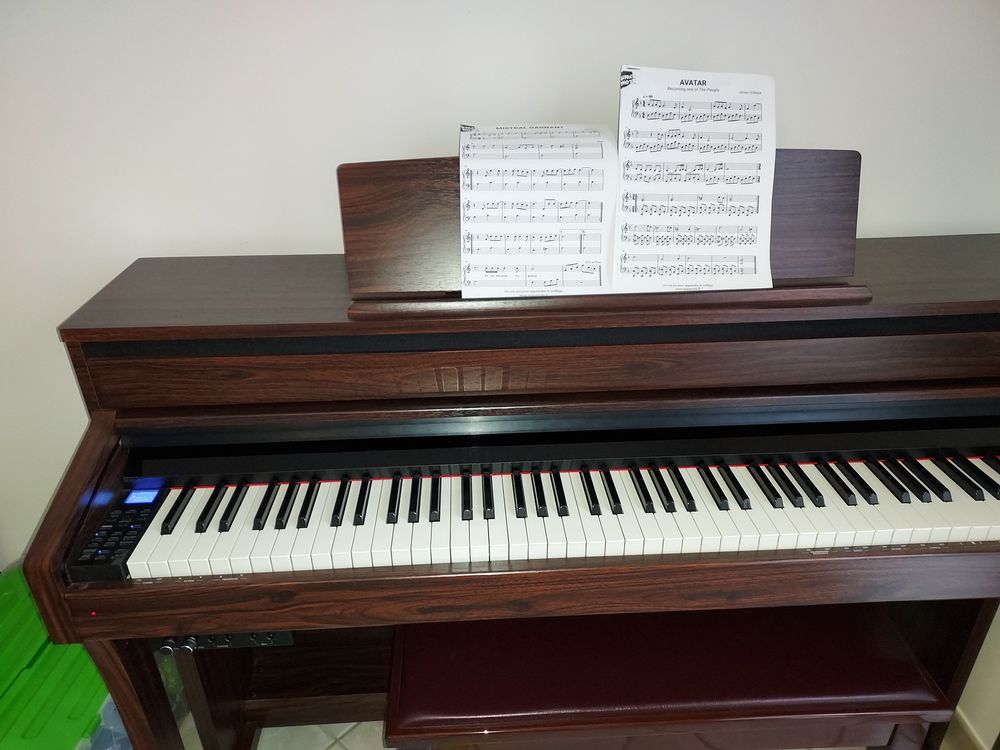 Piano numerique Pearl River F53 Instruments de musique