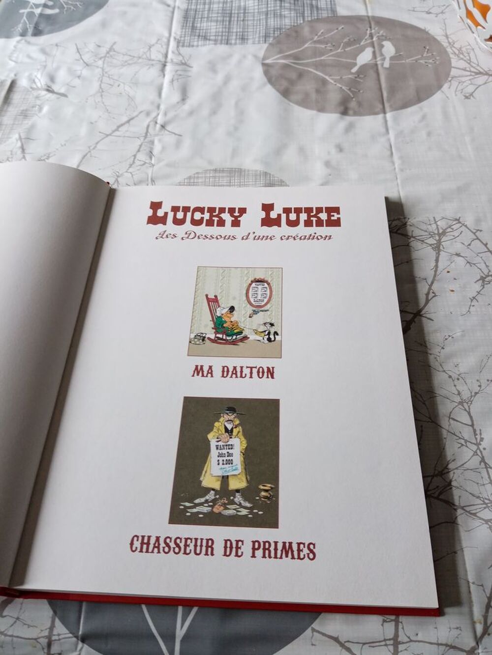 BD LUXKY LUKE Livres et BD