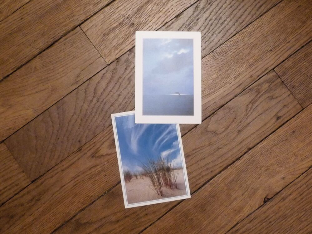 8 Cartes Postales Animaux et Paysages Mer- Neuf 
