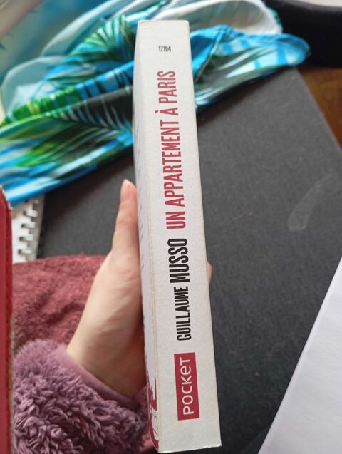 un+appartement+� +Paris 1 Nice (06)