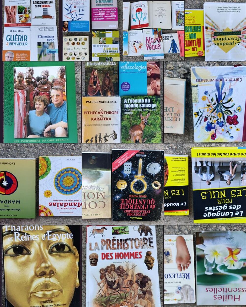  COLLECTION de plus de 30 Livres D&Eacute;VELOPPEMENT PERSONNEL Livres et BD