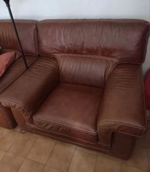 Fauteuil en cuir 100 Monistrol-sur-Loire (43)