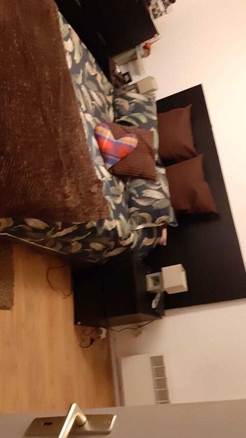 tapis 1.60x2.30 55 Lyon 7 (69)