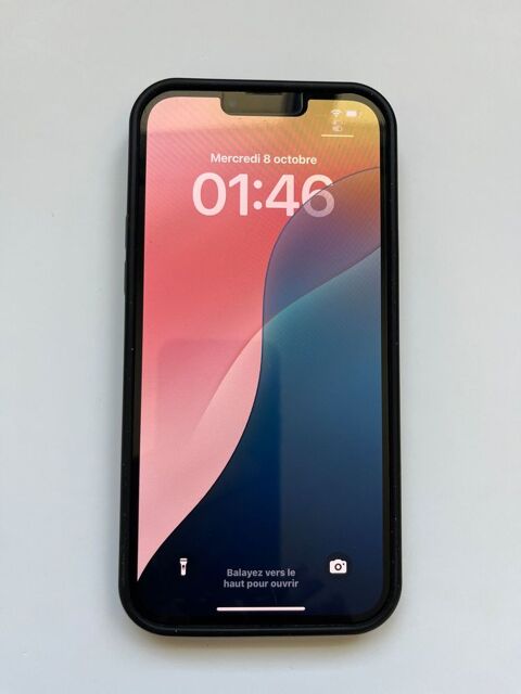 iPhone 13 Pro Max bleu 480 Juign-sur-Loire (49)