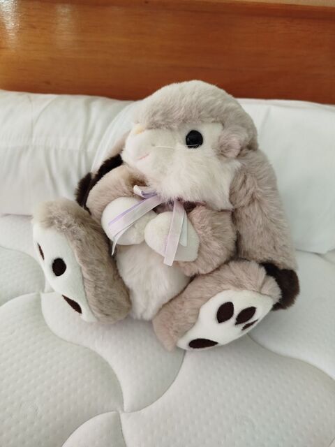 Peluche Lapin en TBE (lavée, très douce) Ay (51)