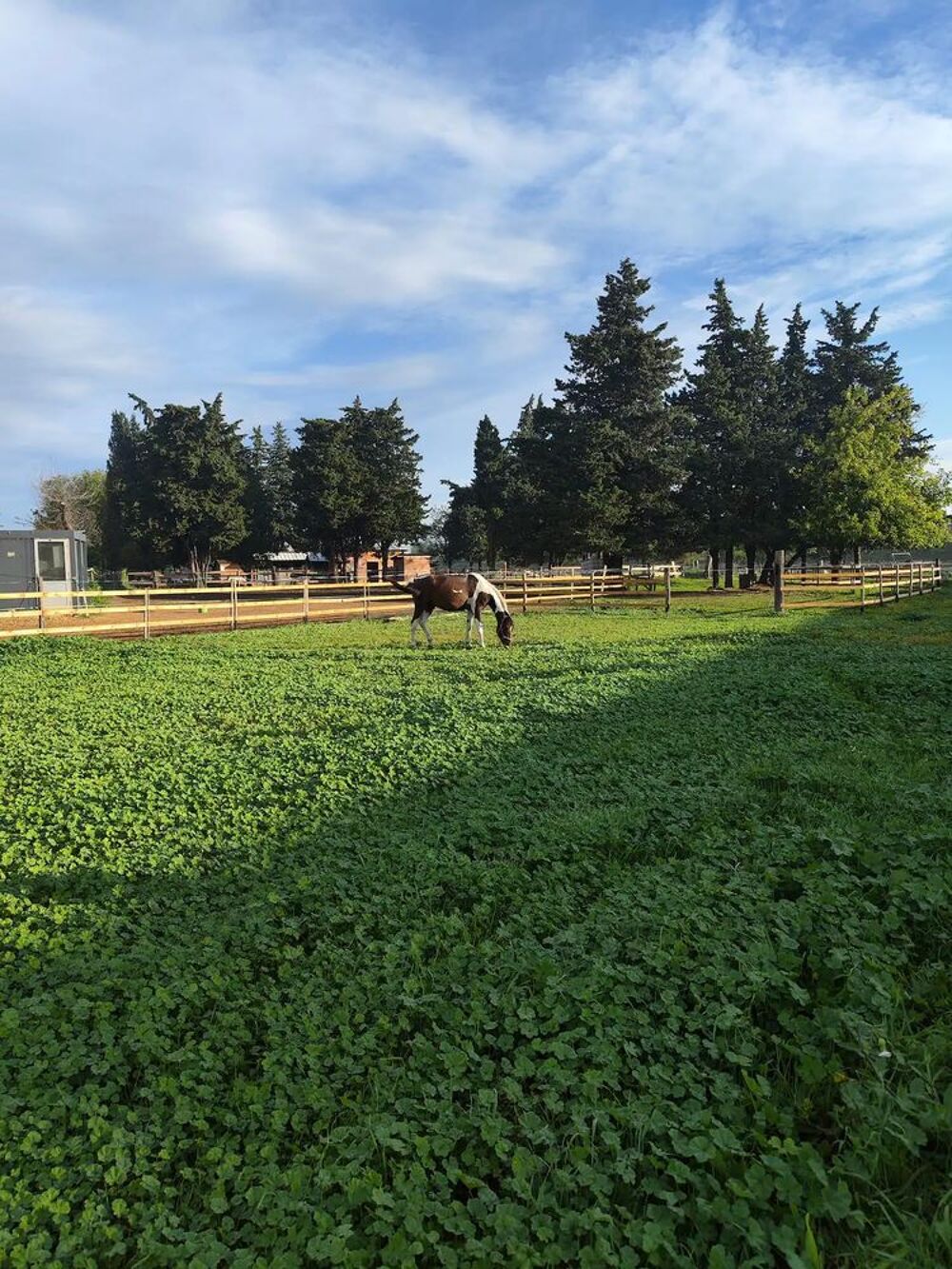   Pension equipistes sur Lapalud 