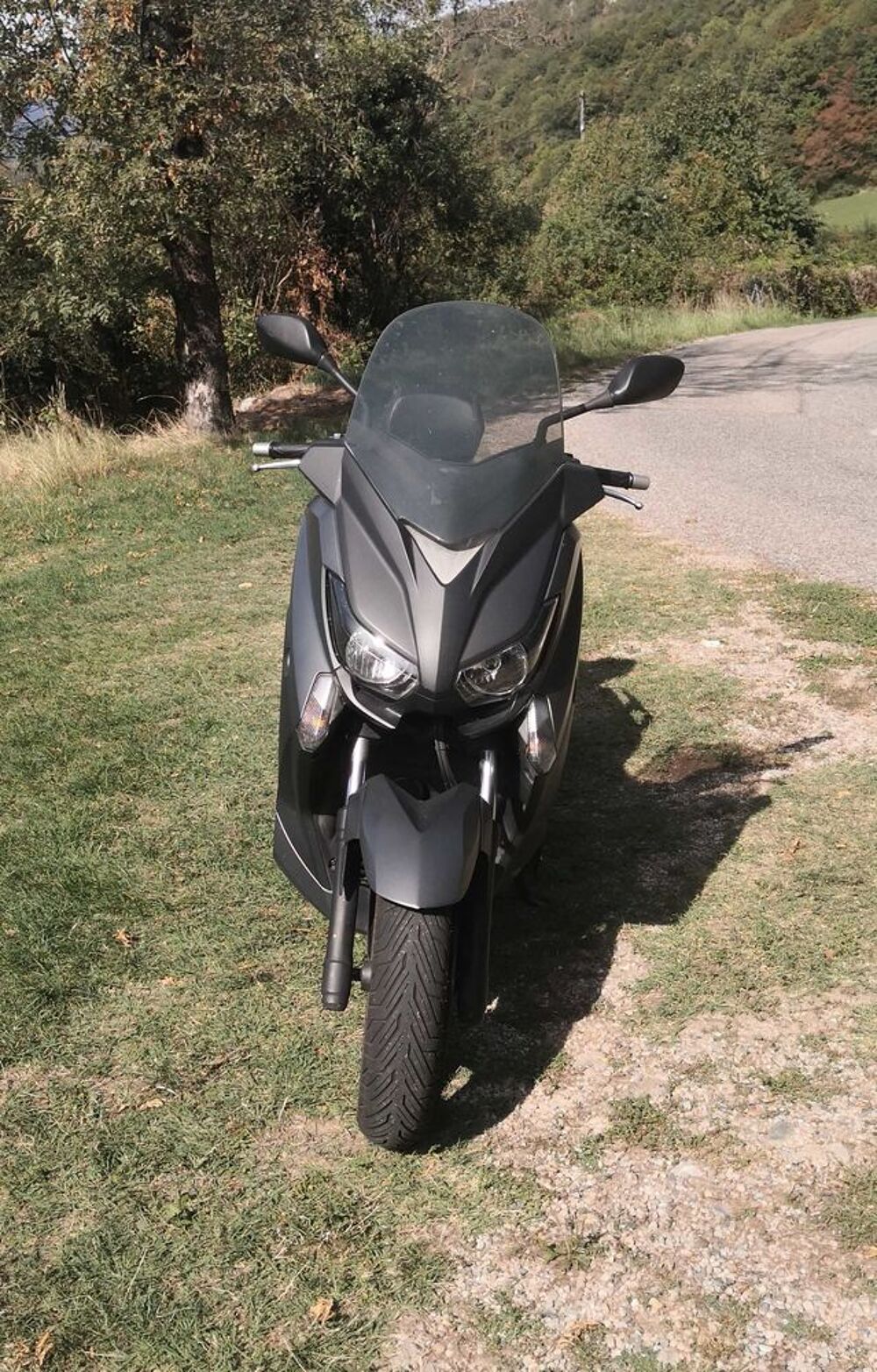 YAMAHA 2014 occasion 73420 Drumettaz-Clarafond