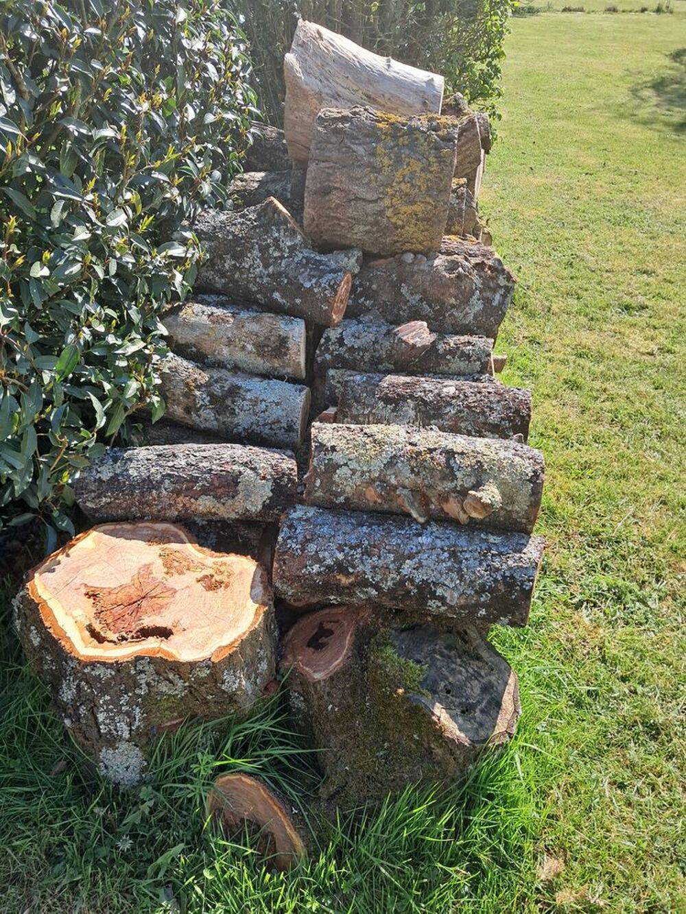 Bois de chauffage Bricolage