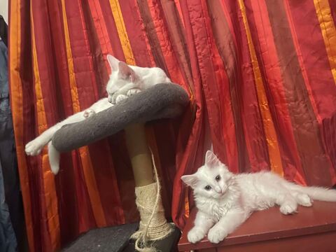 ATHENA ET RAGNAR 430 92400 Courbevoie