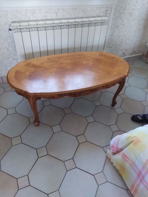 Table basse 25 Solignat (63)