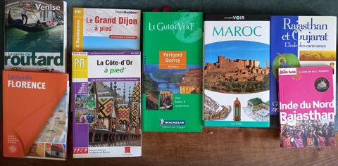 GUIDES TOURISTIQUES - INDES - MAROC - ITALIE - FRANCE 10 Dijon (21)