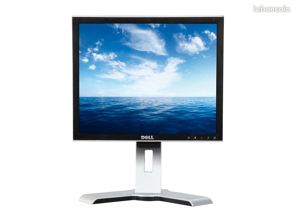 Ecran DELL UltraSharp 1707 FPt Matériel informatique