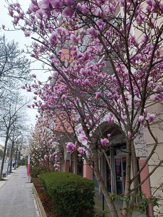  Appartement � vendre 3 pi�ces 71 m�