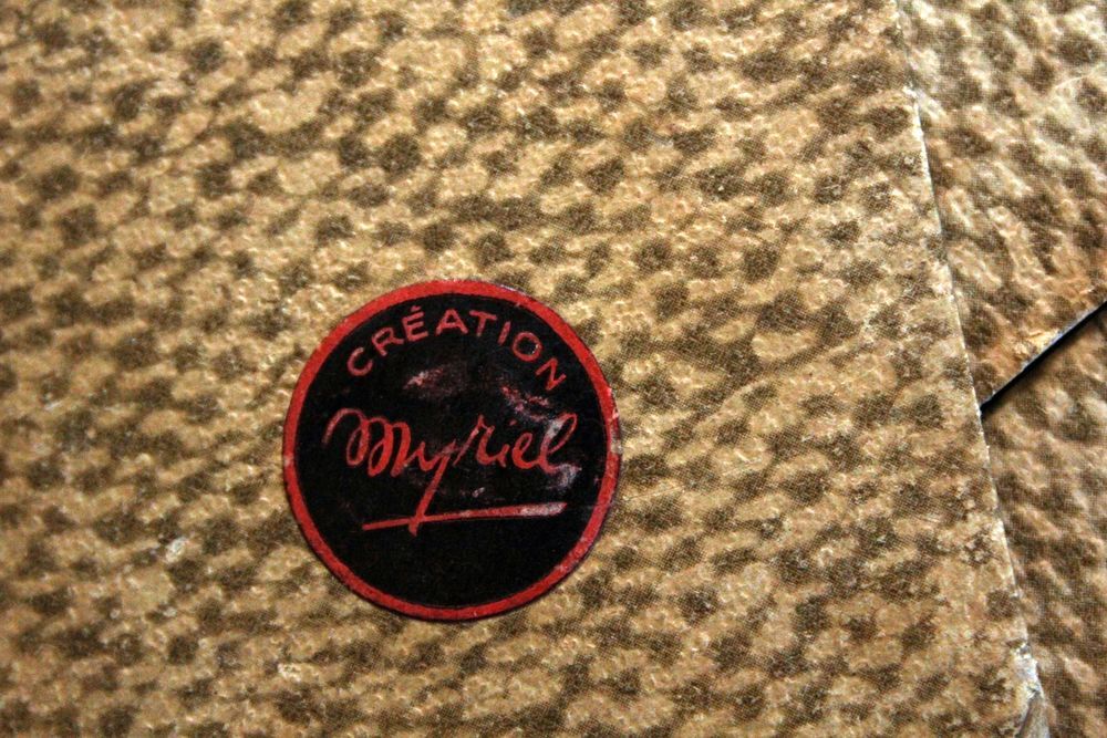Cadre photo python vinyle design 1950 Décoration