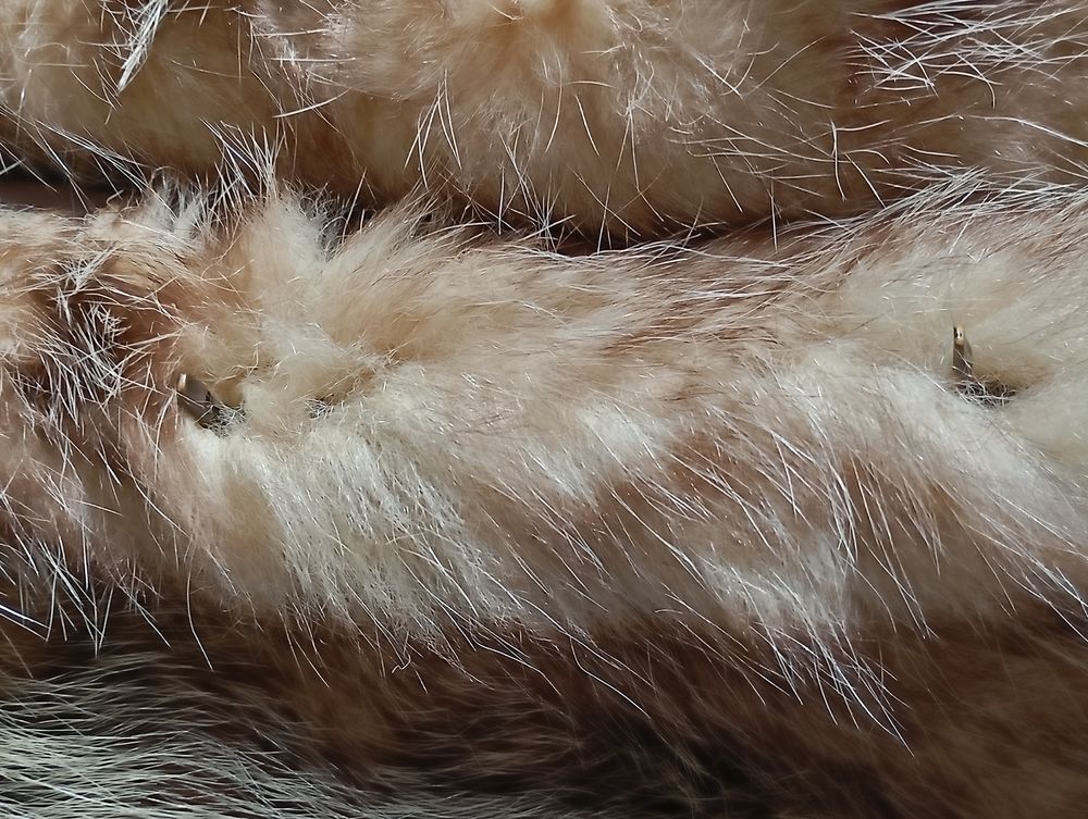 Manteau en opossum Vêtements