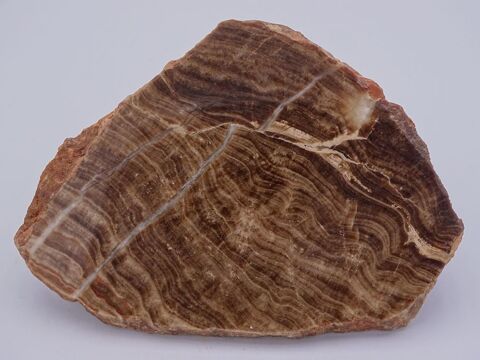 Jaspe rubané (poli) Fox-Amphoux , Var , France 337gr 152 x 1 39 Bertrichamps (54)