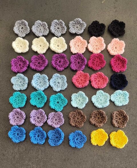 petites fleurs 15 Saint-Didier-en-Velay (43)