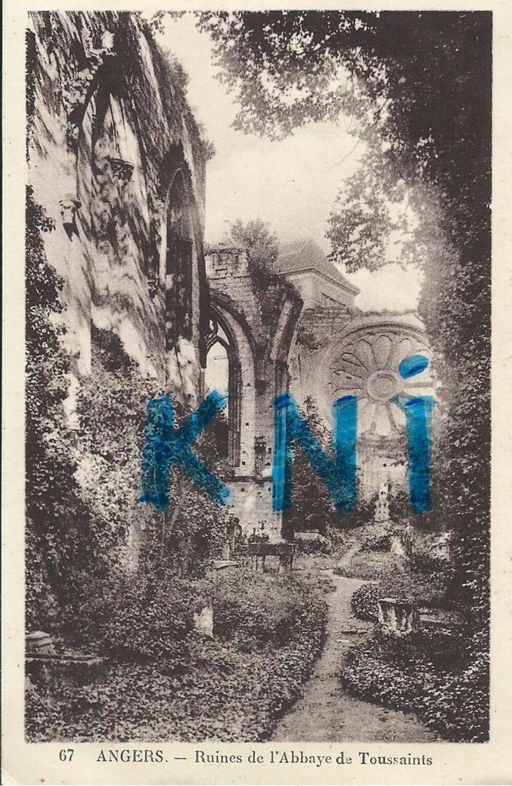49 Angers , Ruines de l'abbaye 