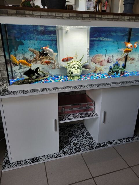 Aquarium complet 250 80100 Abbeville