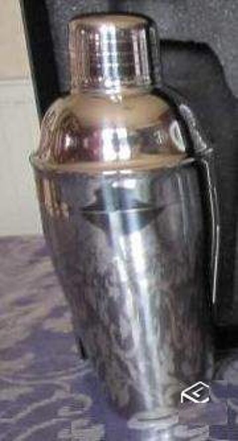 2 shaker inox 10 Beauchamp (95)