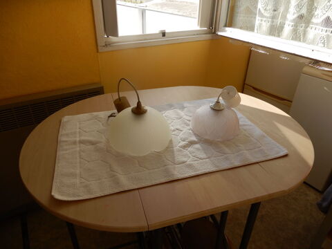 ABATS JOUR 10 Pau (64)