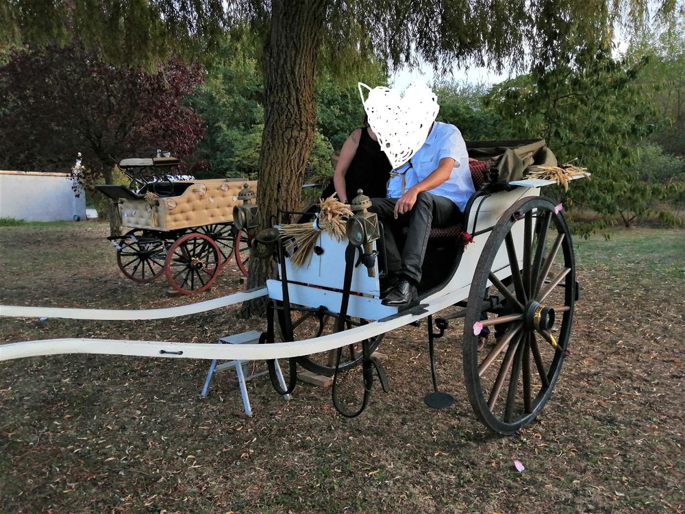 cal&egrave;che hupeau 4 a 8 places et une de trois places faire px Sports