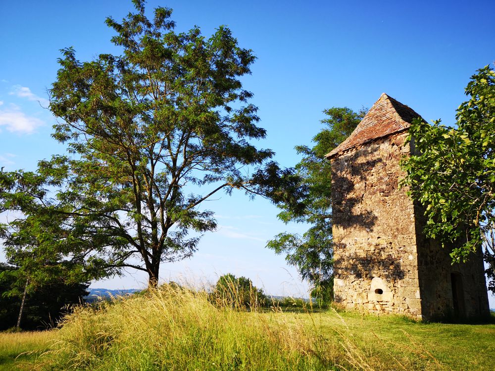   En communion avec la nature pour se ressourcer  Aquitaine, Paleyrac (24480)