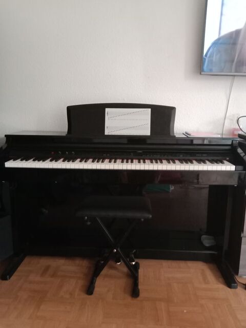 Digital piano numrique TG8876 250 Stains (93)