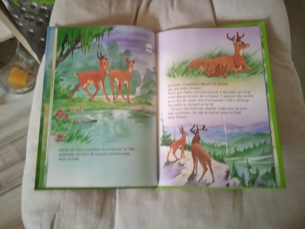 Livre Bambi
2012 Livres et BD