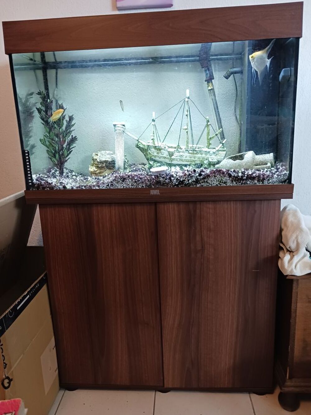 Aquarium avec meuble Décoration