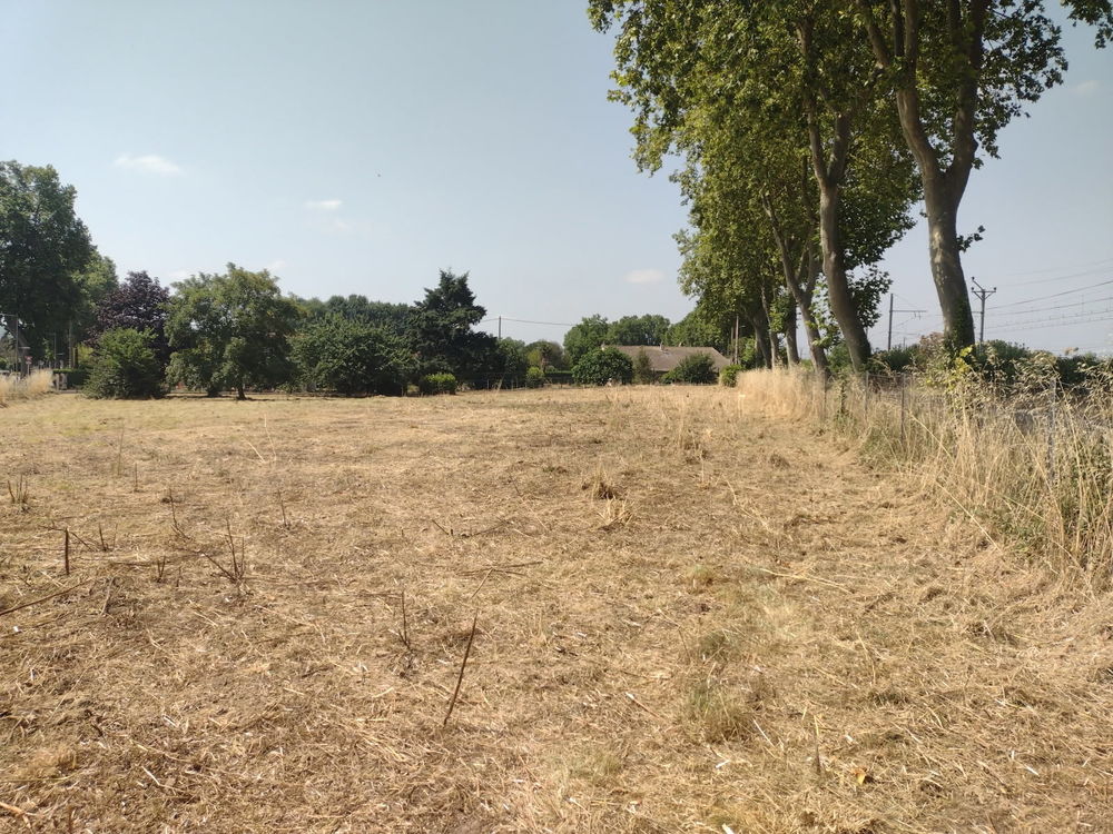 Vente Terrain TERRAIN CONSTRUCTIBLE 2848 m2 Carbonne