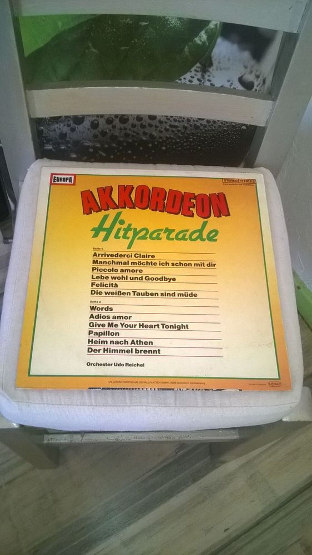 Vinyle Akkordeon hitparade
Udo Reichel
Excellent etat
Env CD et vinyles