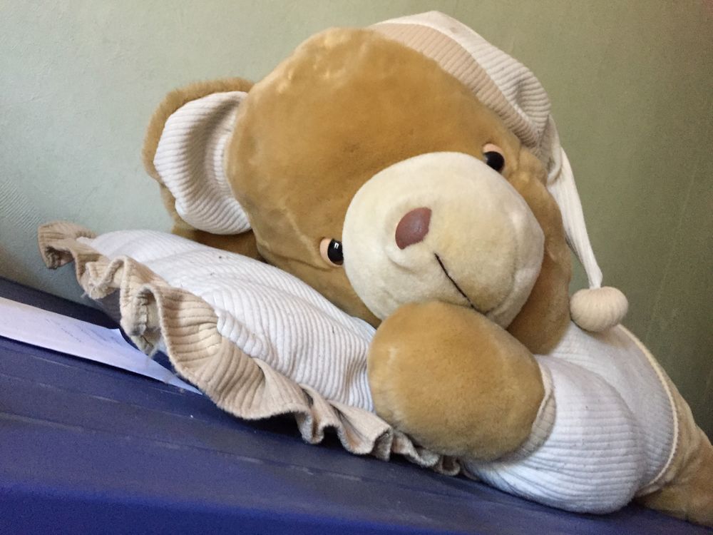 PELUCHE CHIEN DORMANT SUR SON OREILLER Jeux / jouets