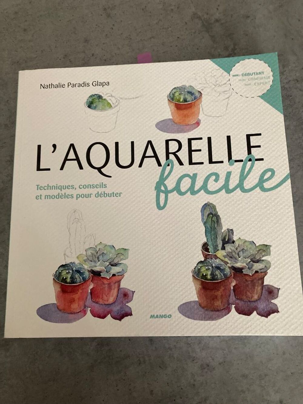 Livre "l'aquarelle facile" + pinceaux Bricolage