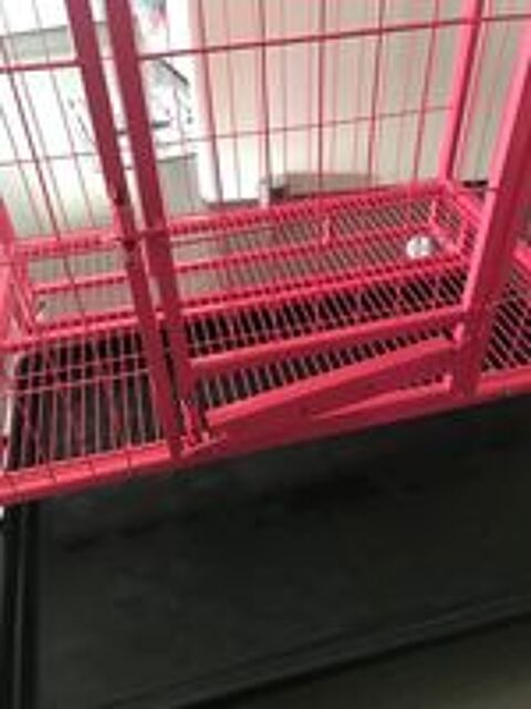   Cage pour chiens moyens 