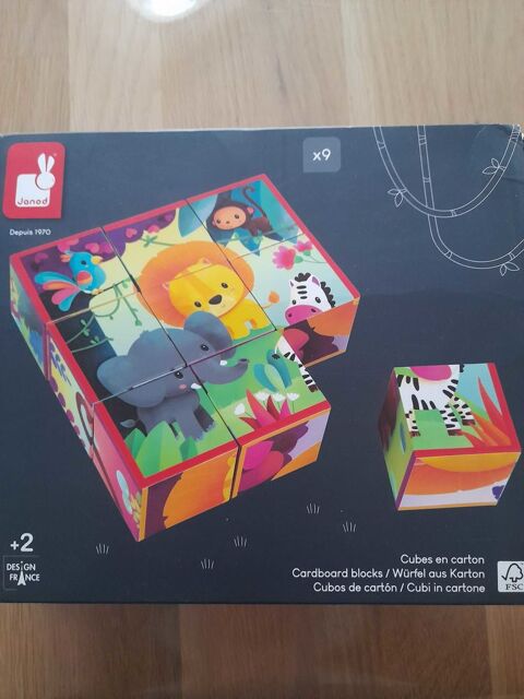 Puzzle 9 cubes 5 Paris 19 (75)