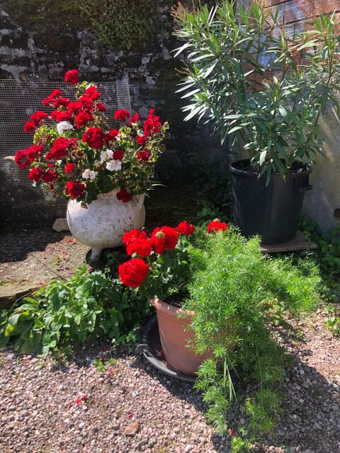 Services 0 70210 Passavant-la-roch�re