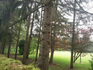  Terrain � vendre 4686 m�