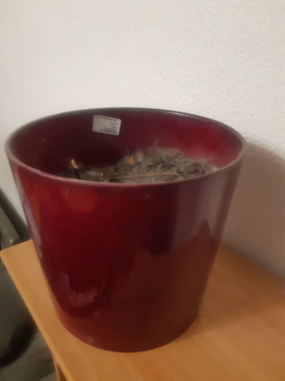Cache pot ou Pot rardiland diam&egrave;tre 22cm avec terre dedans Jardin