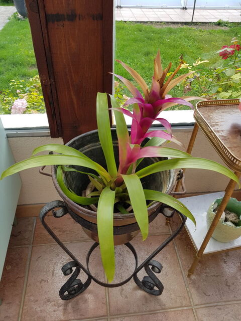 porte plante ou d�coration Blennes (77)