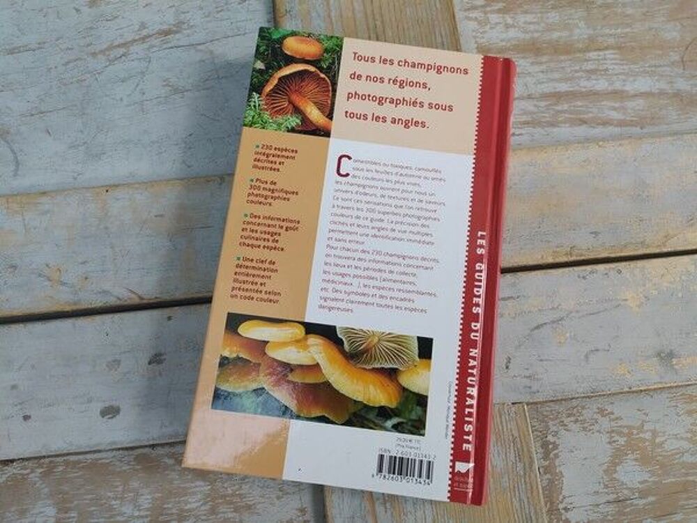 Livre Delachaux et Niestl&eacute; Les Champignons dans la Nature 
Livres et BD