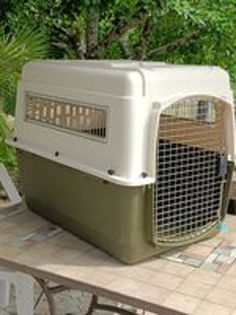   grande cage pour chien 