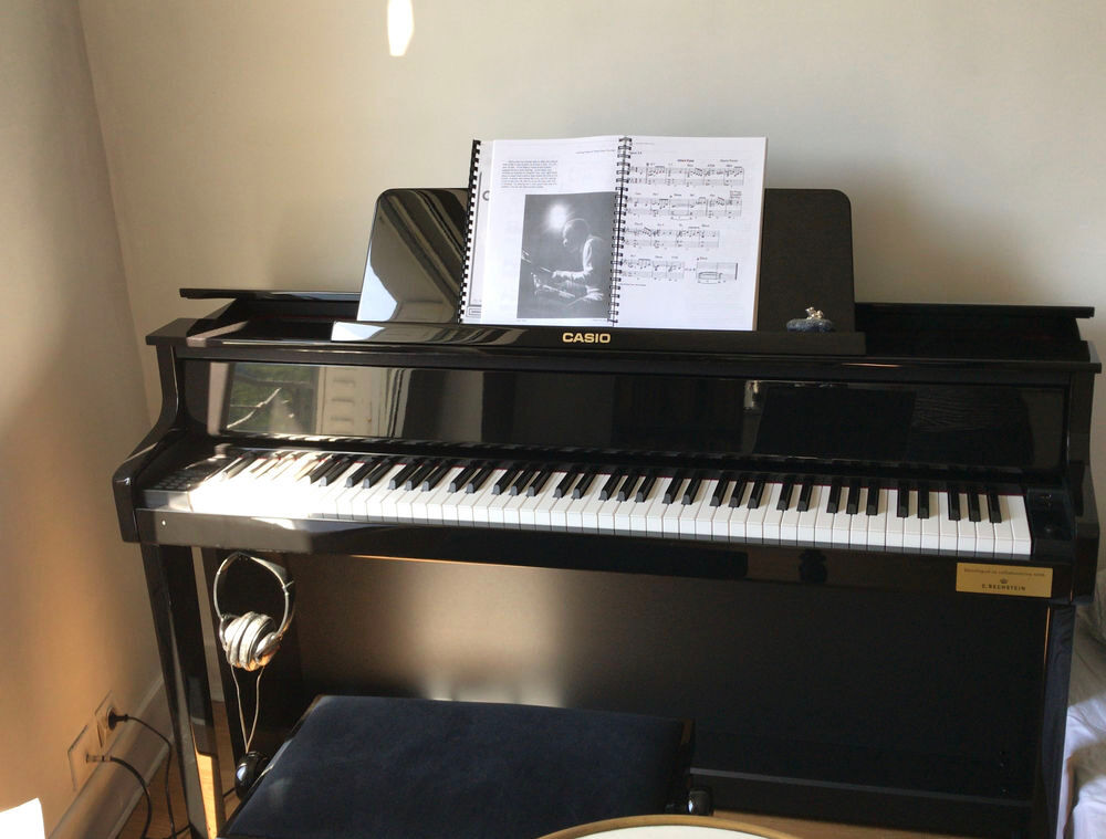Piano hybride Casio GP510 Instruments de musique