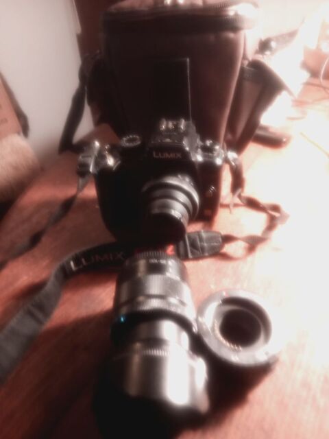 Lumix GH2 200 Baillestavy (66)