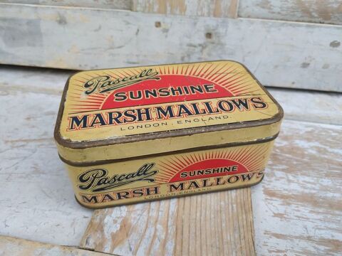 Boite Tôle Publicitaire Marsh Mallows Pascall Sunchine
55 Loches (37)