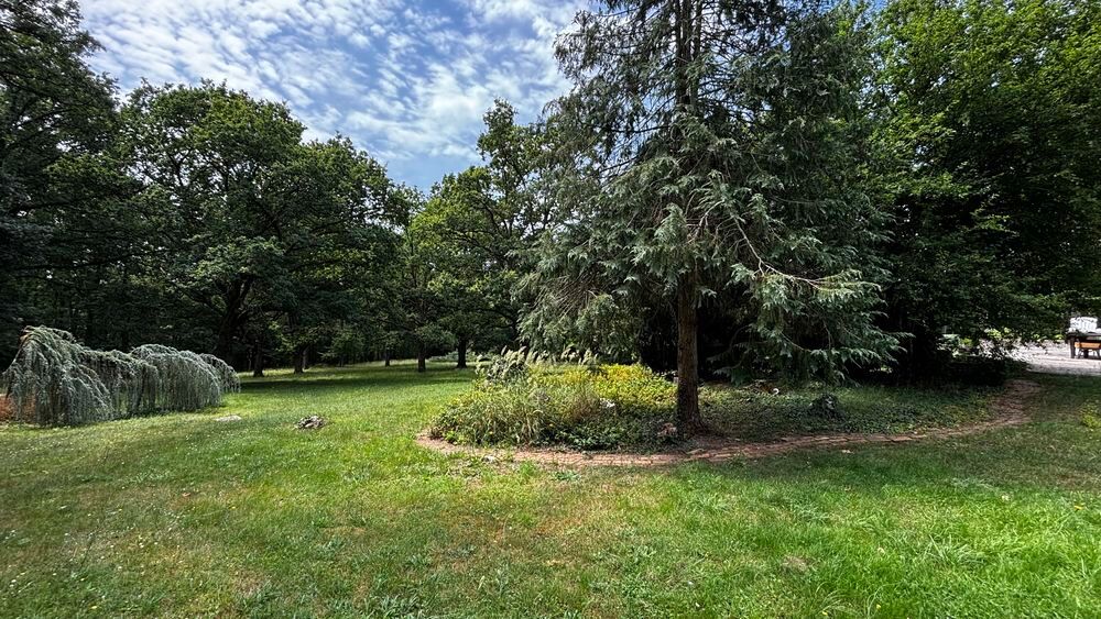 Vente Propriété/Château Propriété avec bois attenant et bord de rivière Saint-maur-sur-le-loir